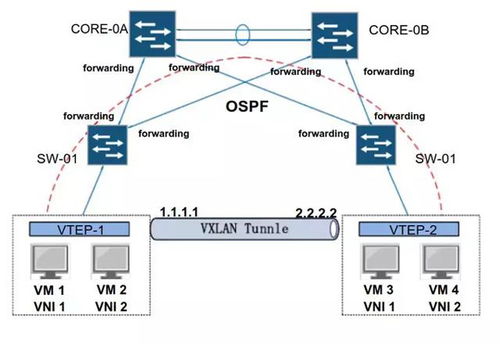 云計算底層技術在企業營銷策劃中的創新應用 虛擬網絡設備bridge、vlan與vxlan的實踐解析
